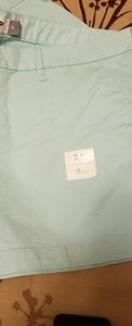 Women's seafoam green shorts
